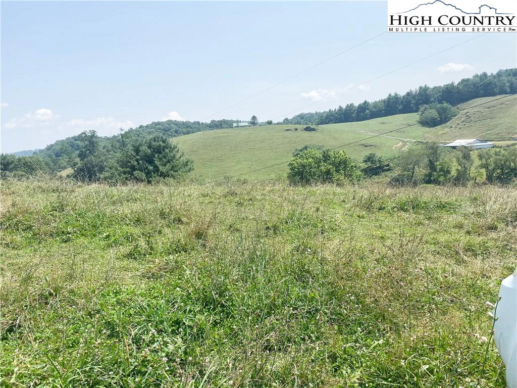 Image number 11 for the current listing