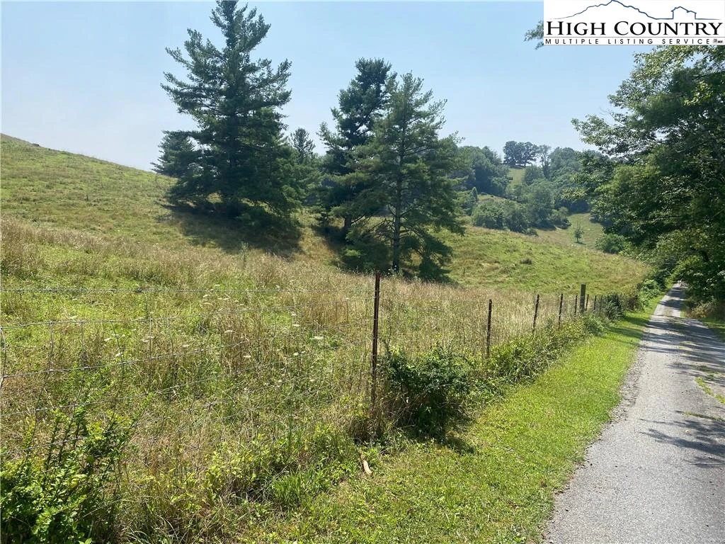 Image number 12 for the current listing