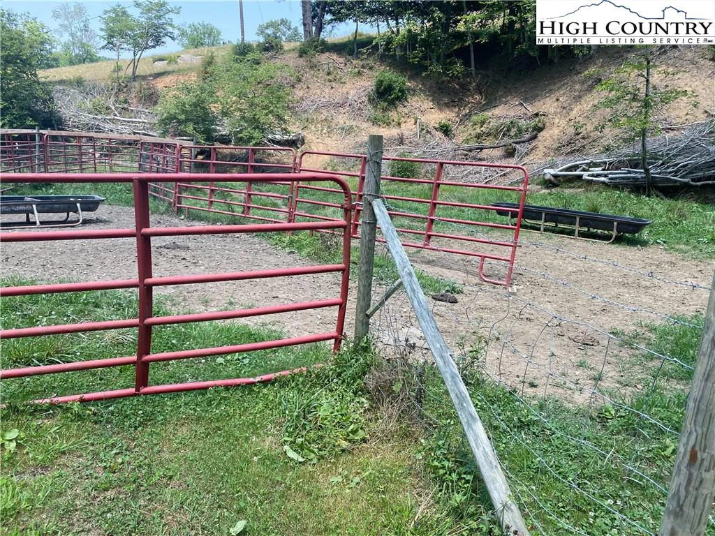 Image number 13 for the current listing