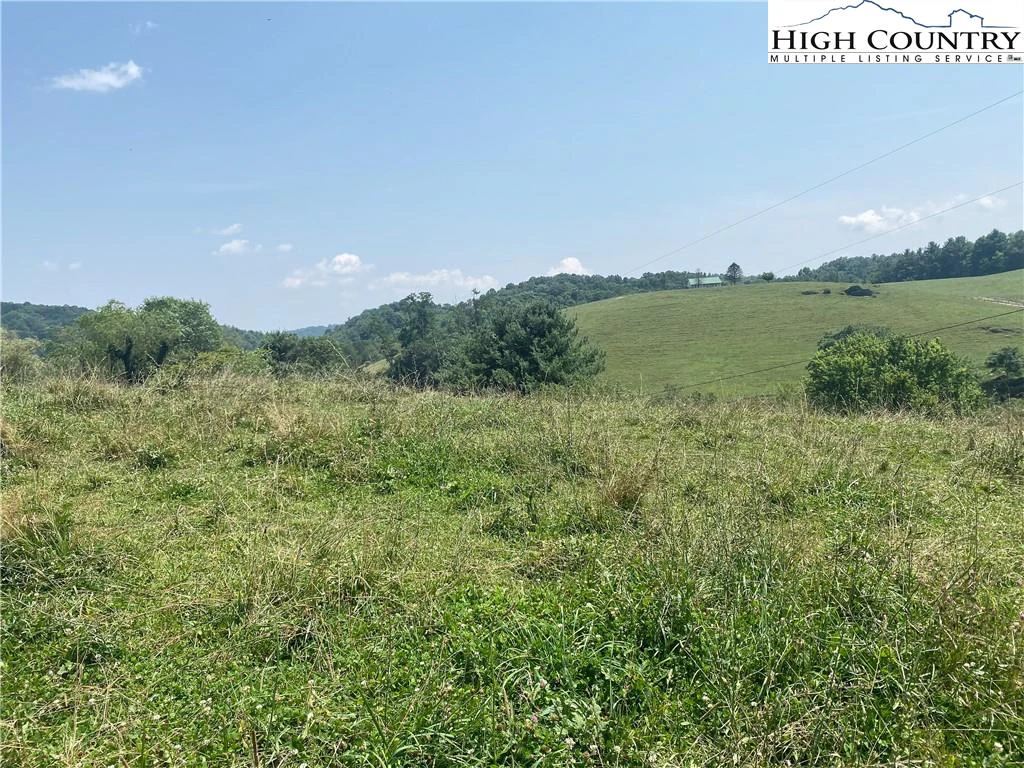 Image number 14 for the current listing