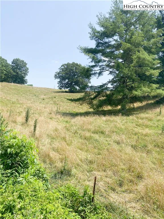 Image number 4 for the current listing