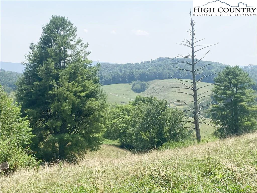 Image number 9 for the current listing