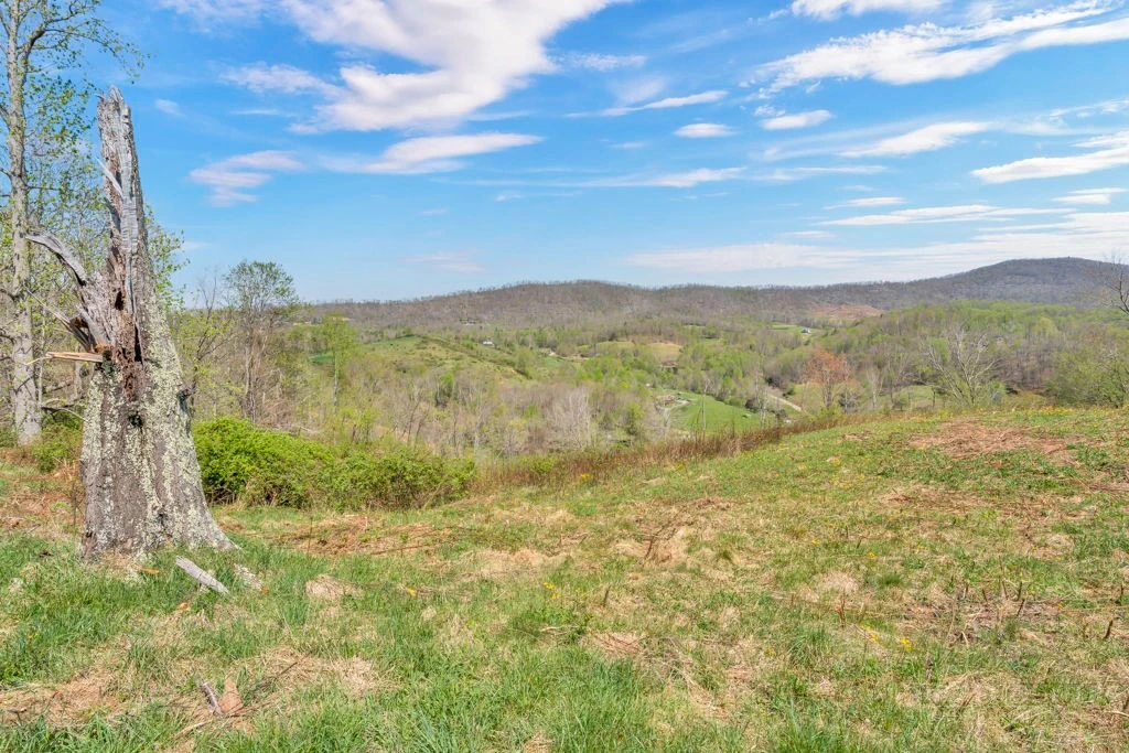 Image number 19 for the current listing