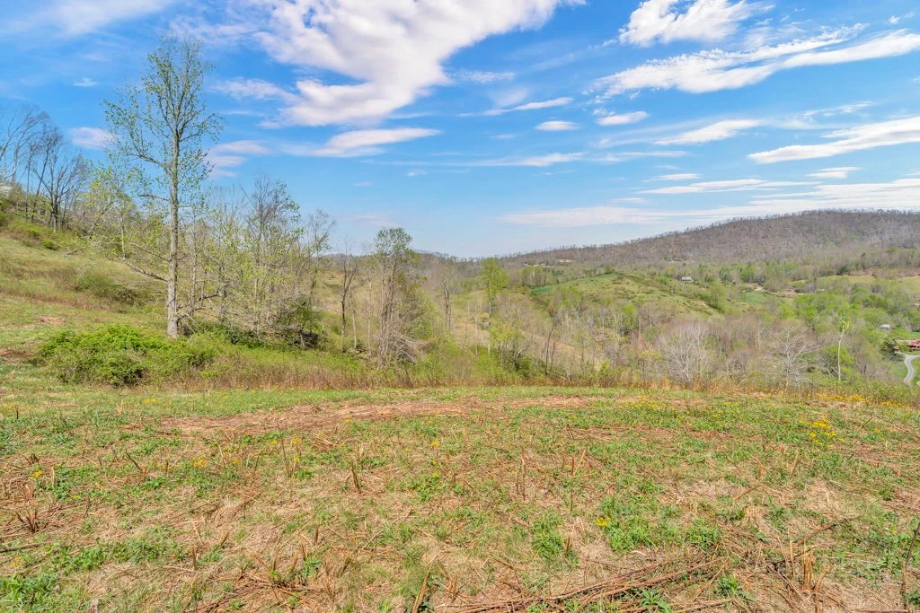 Image number 18 for the current listing