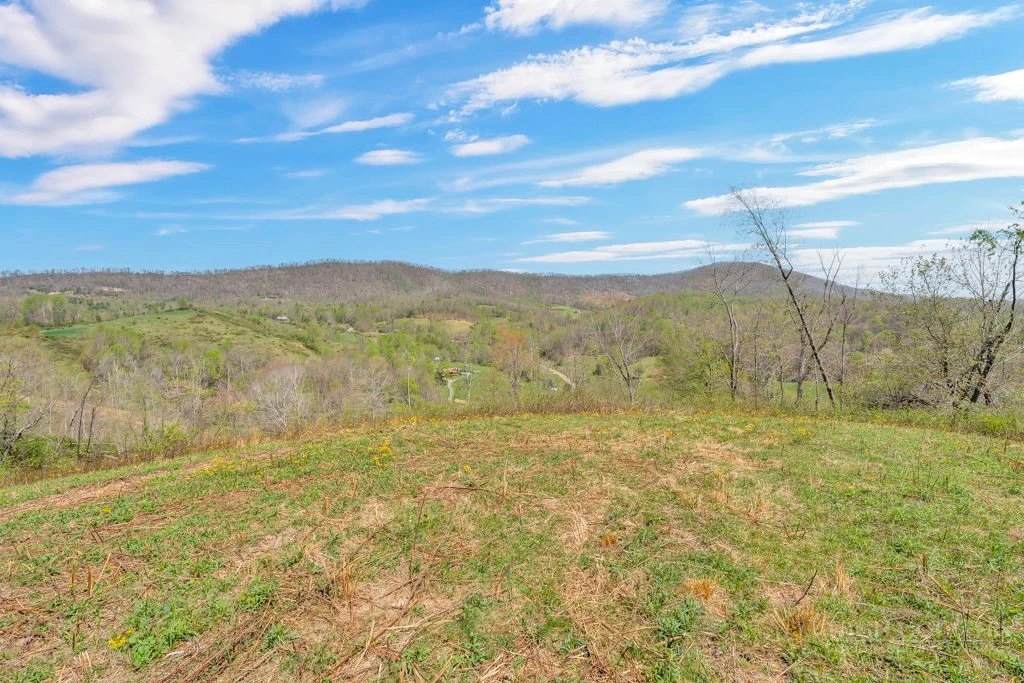 Image number 1 for the current listing
