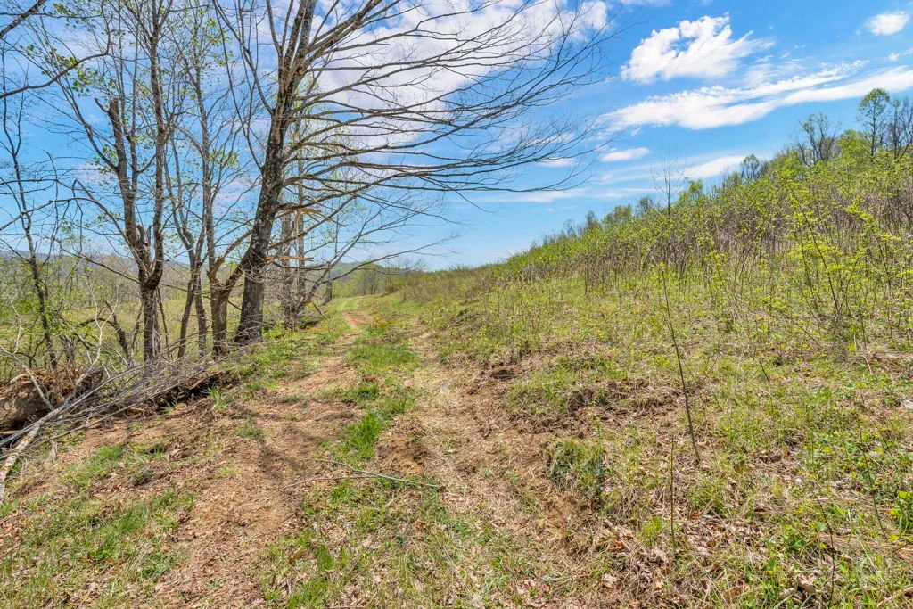 Image number 14 for the current listing