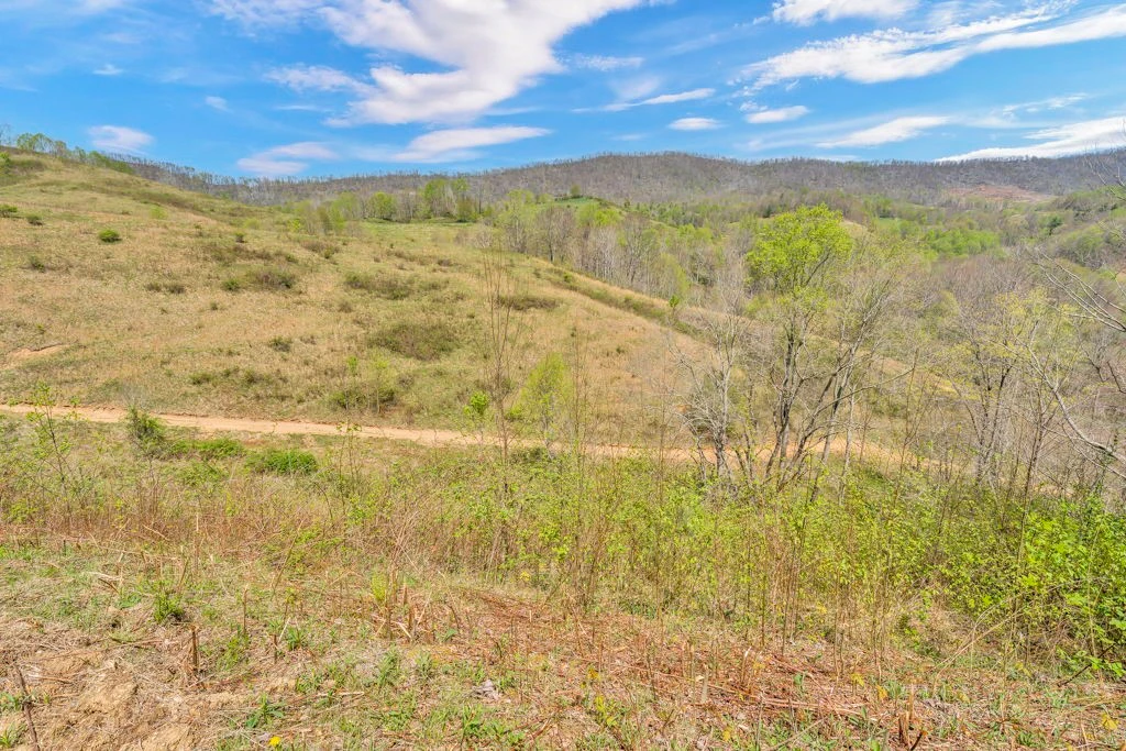 Image number 11 for the current listing