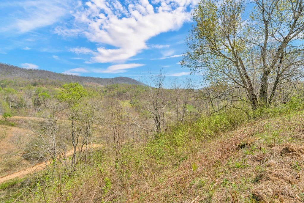 Image number 9 for the current listing