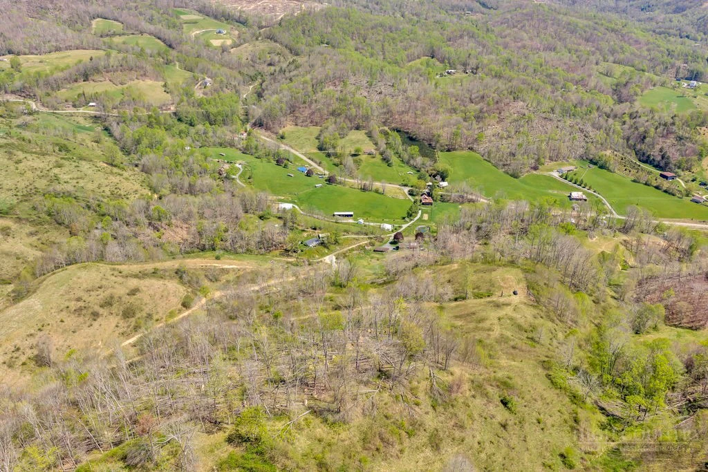 Image number 5 for the current listing