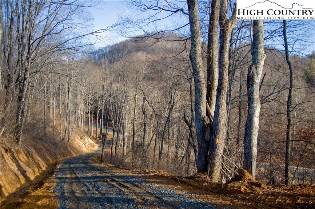 Image number 1 for the current listing