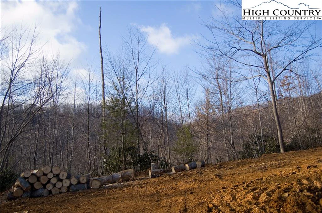 Image number 3 for the current listing