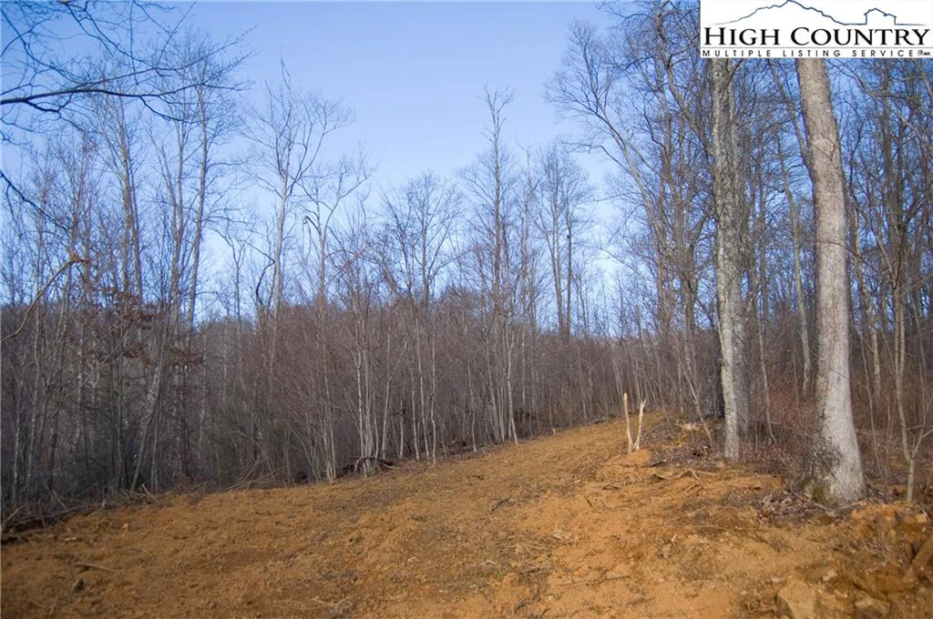 Image number 4 for the current listing