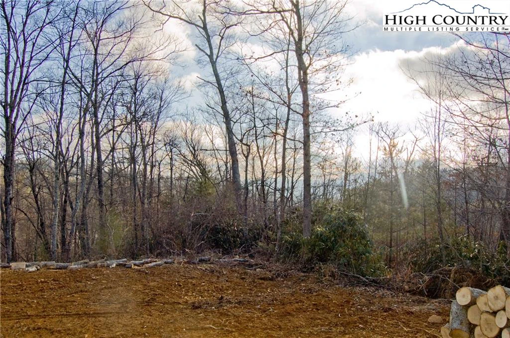Image number 5 for the current listing