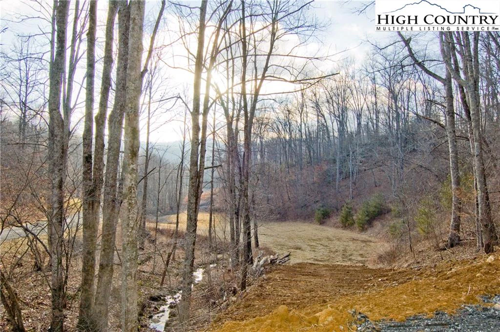 Image number 6 for the current listing