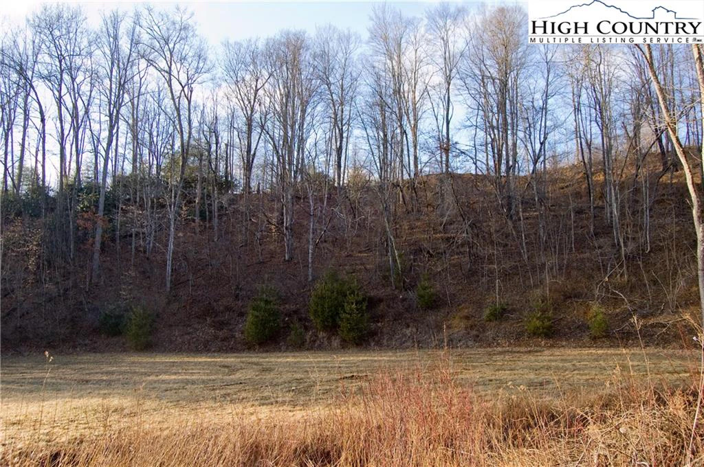 Image number 8 for the current listing