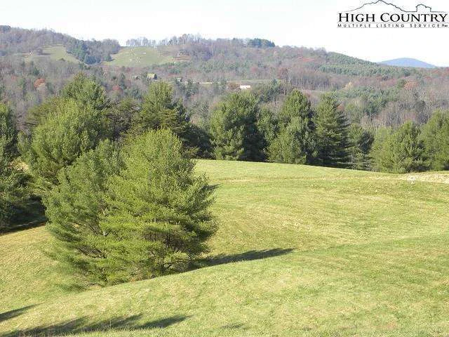 Image number 5 for the current listing