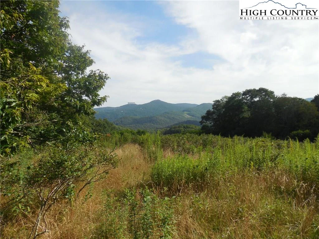 Image number 1 for the current listing