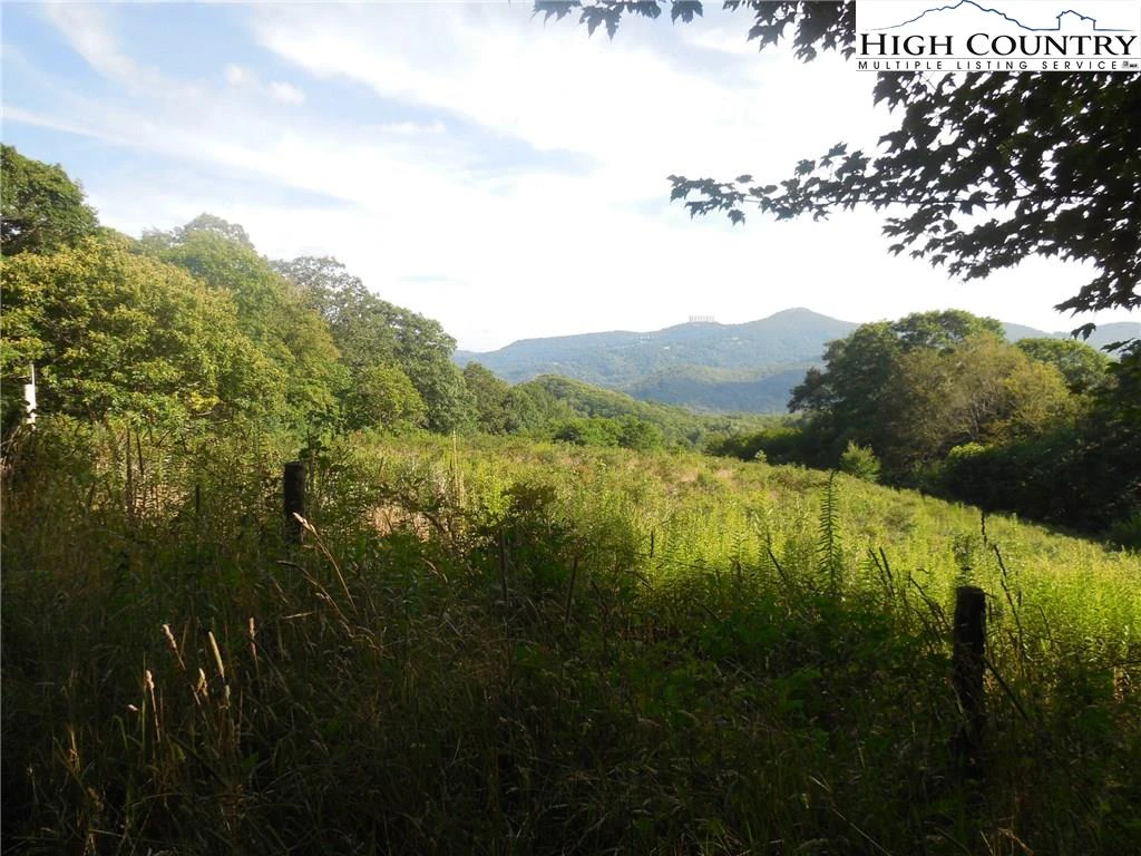 Image number 12 for the current listing