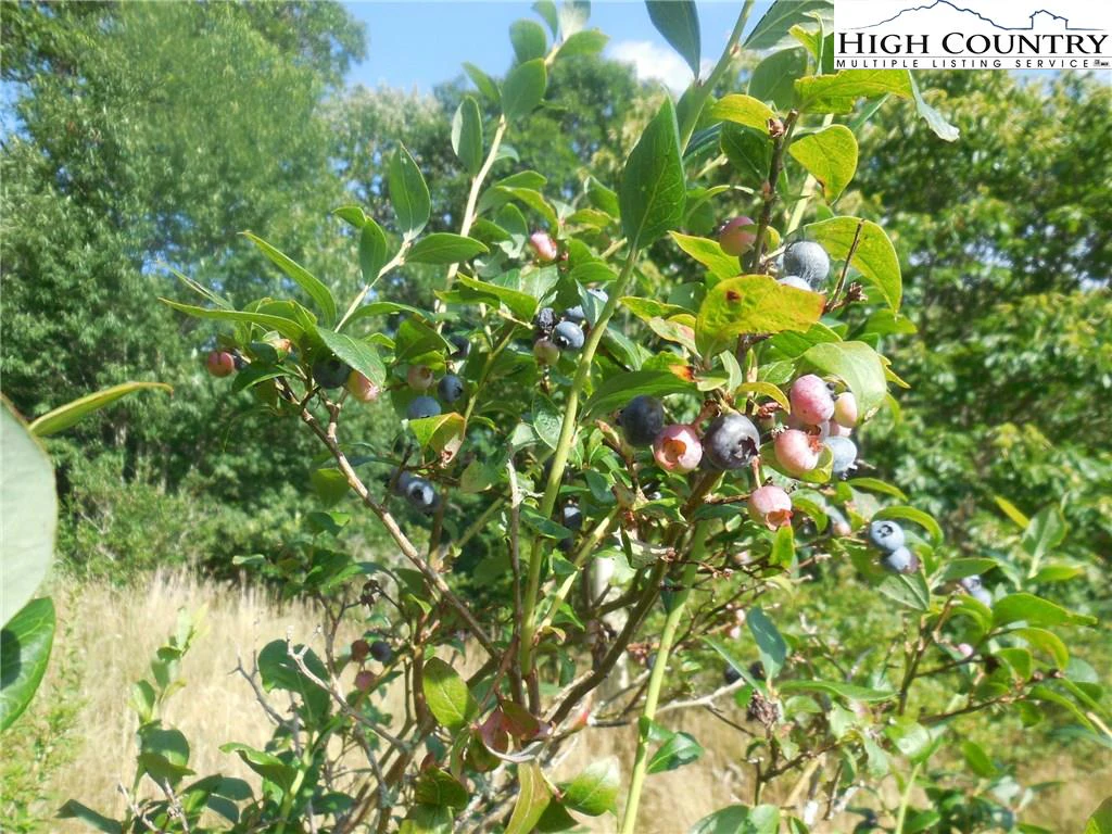 Image number 3 for the current listing