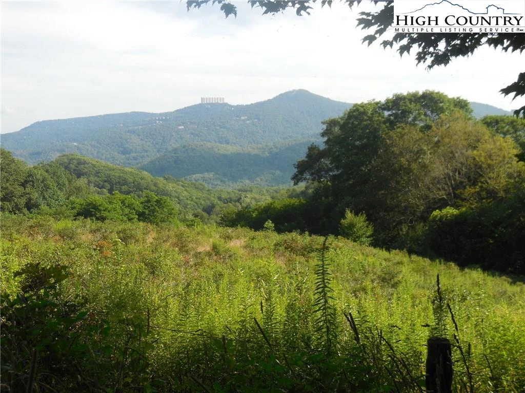 Image number 4 for the current listing
