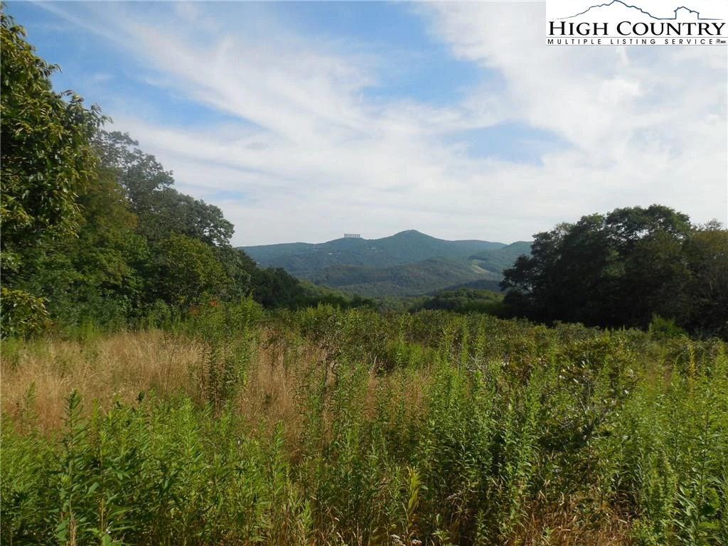Image number 5 for the current listing