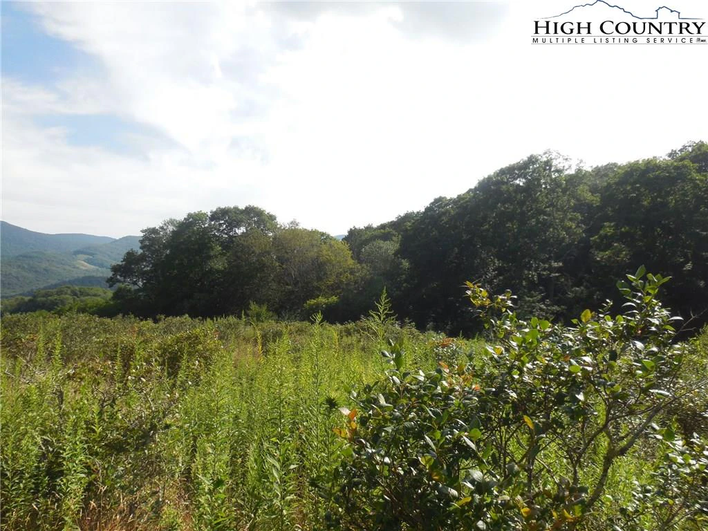 Image number 6 for the current listing