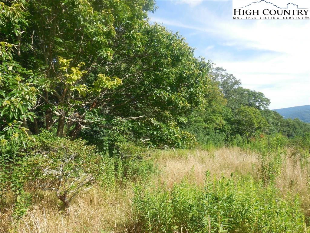 Image number 7 for the current listing