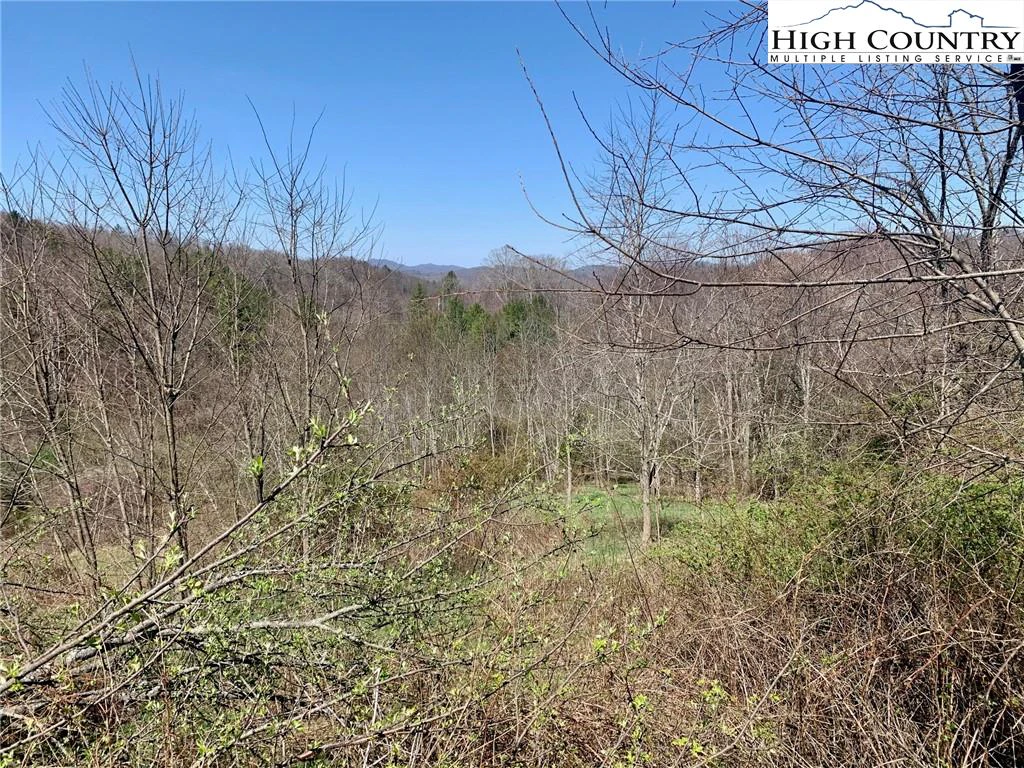 Image number 1 for the current listing