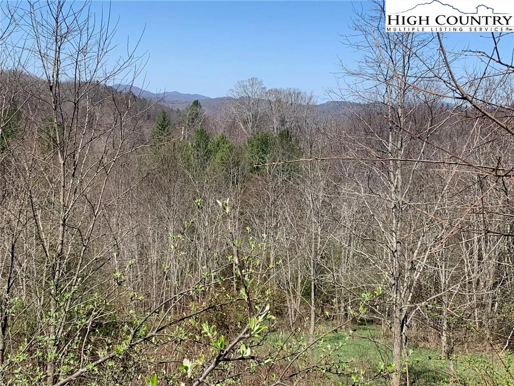 Image number 3 for the current listing