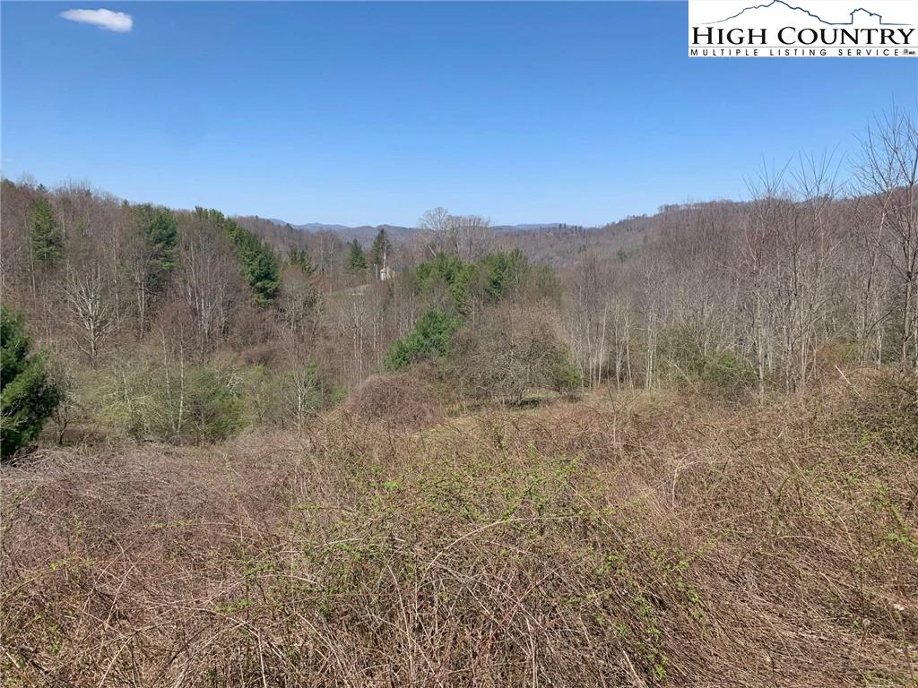 Image number 4 for the current listing