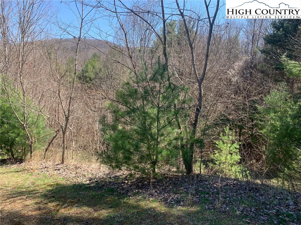 Image number 6 for the current listing