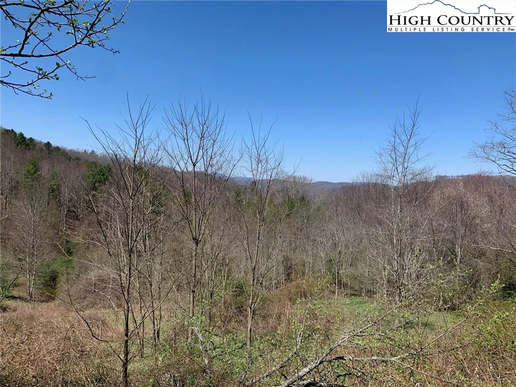 Image number 9 for the current listing