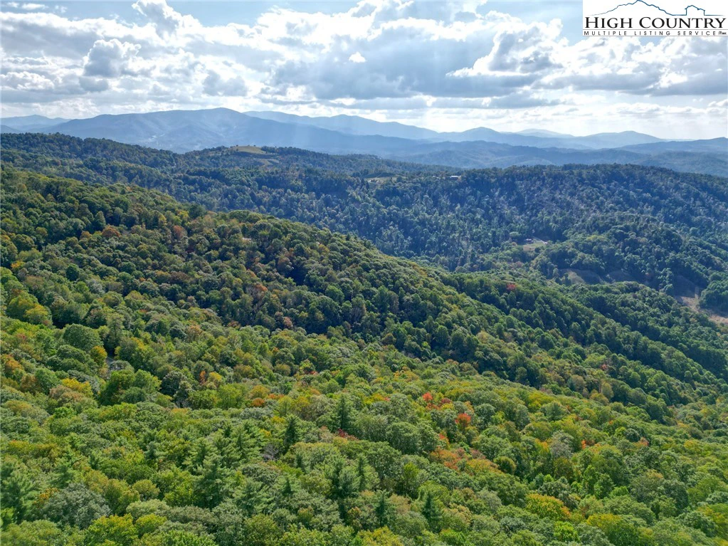 Image number 2 for the current listing