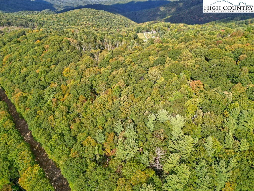 Image number 11 for the current listing