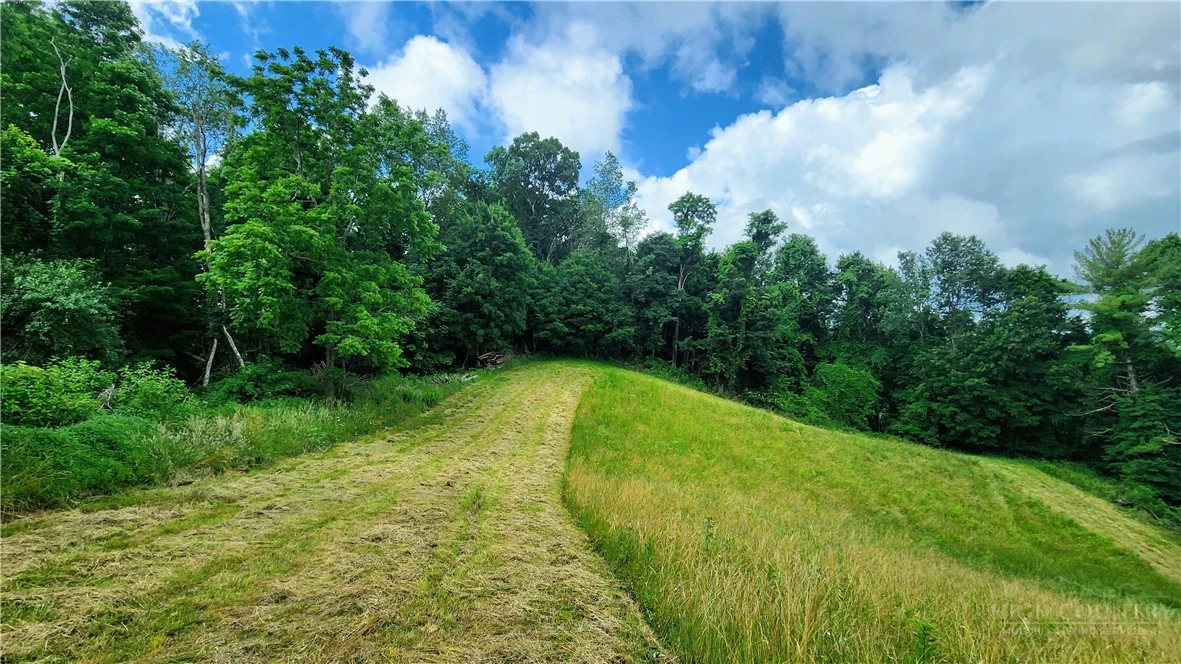 Image number 3 for the current listing