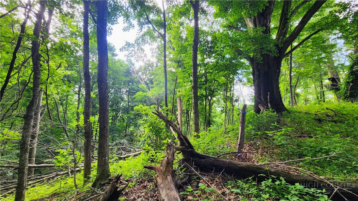 Image number 6 for the current listing