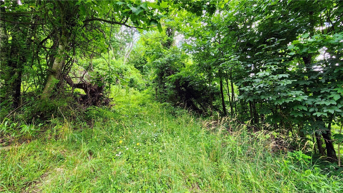 Image number 10 for the current listing
