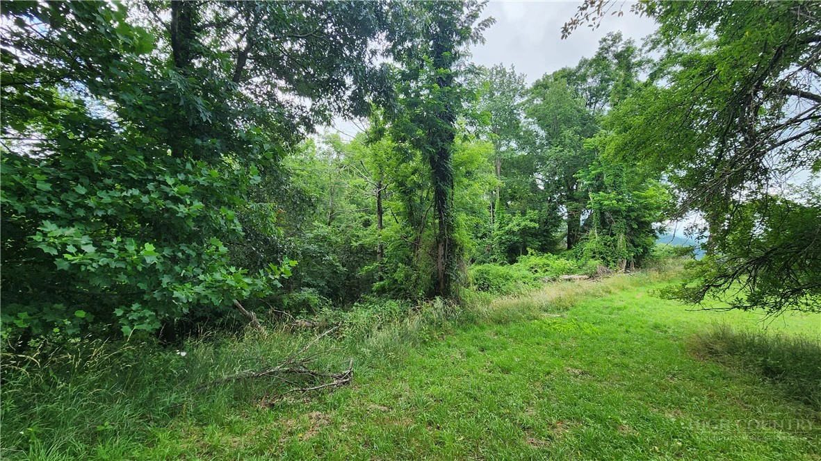 Image number 4 for the current listing