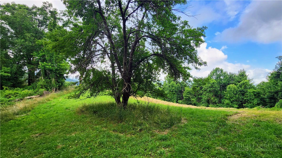 Image number 5 for the current listing