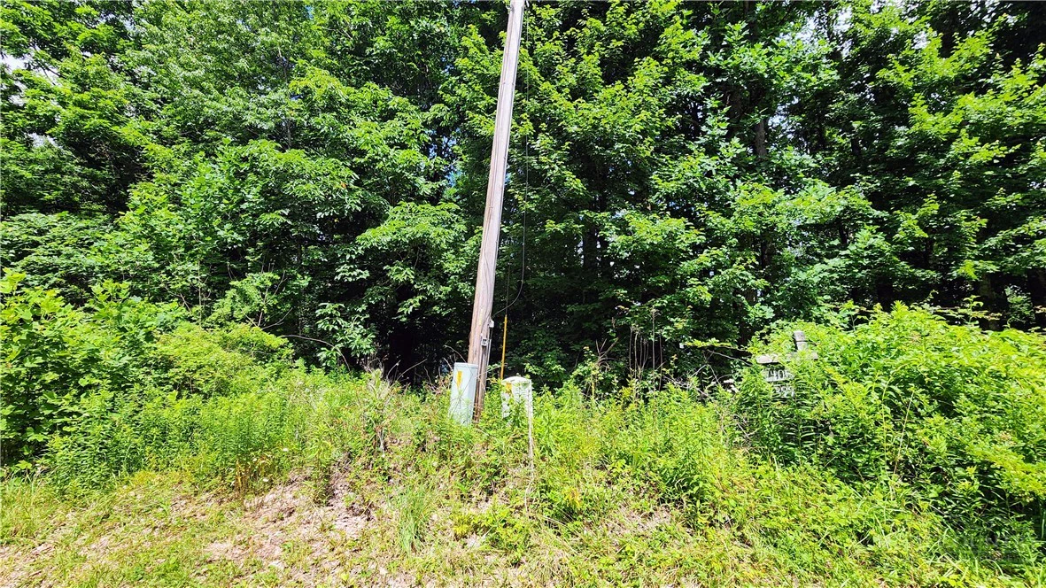 Image number 11 for the current listing