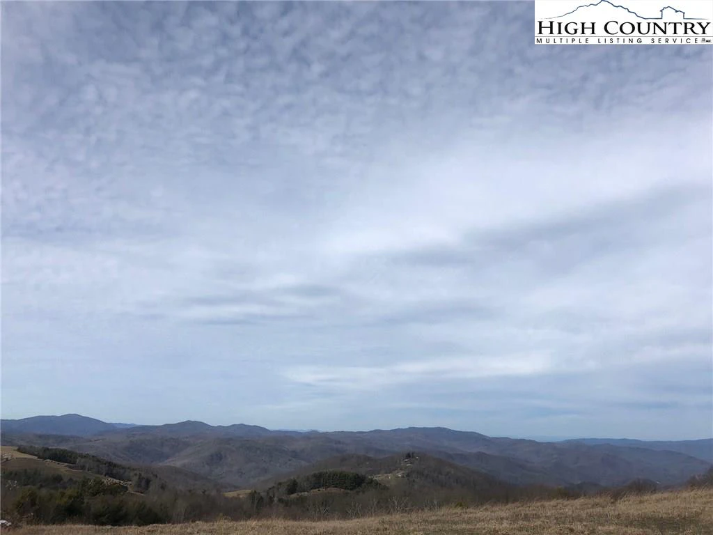 Image number 1 for the current listing