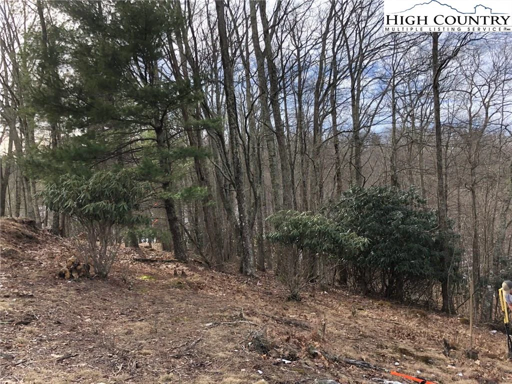 Image number 6 for the current listing