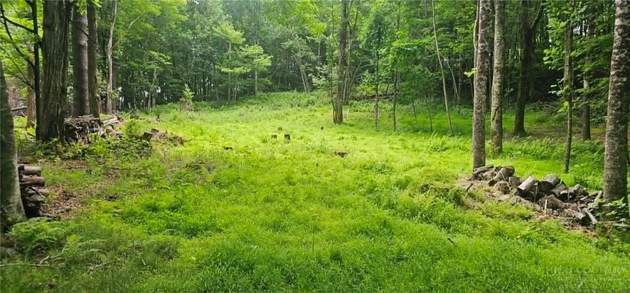Image number 2 for the current listing