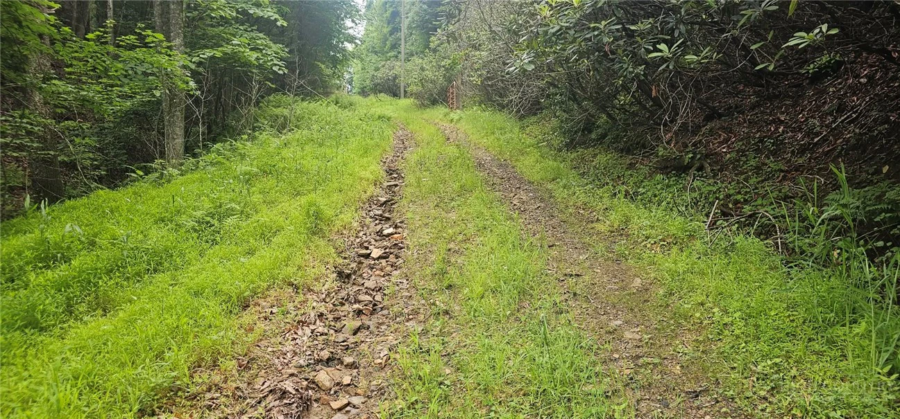Image number 7 for the current listing