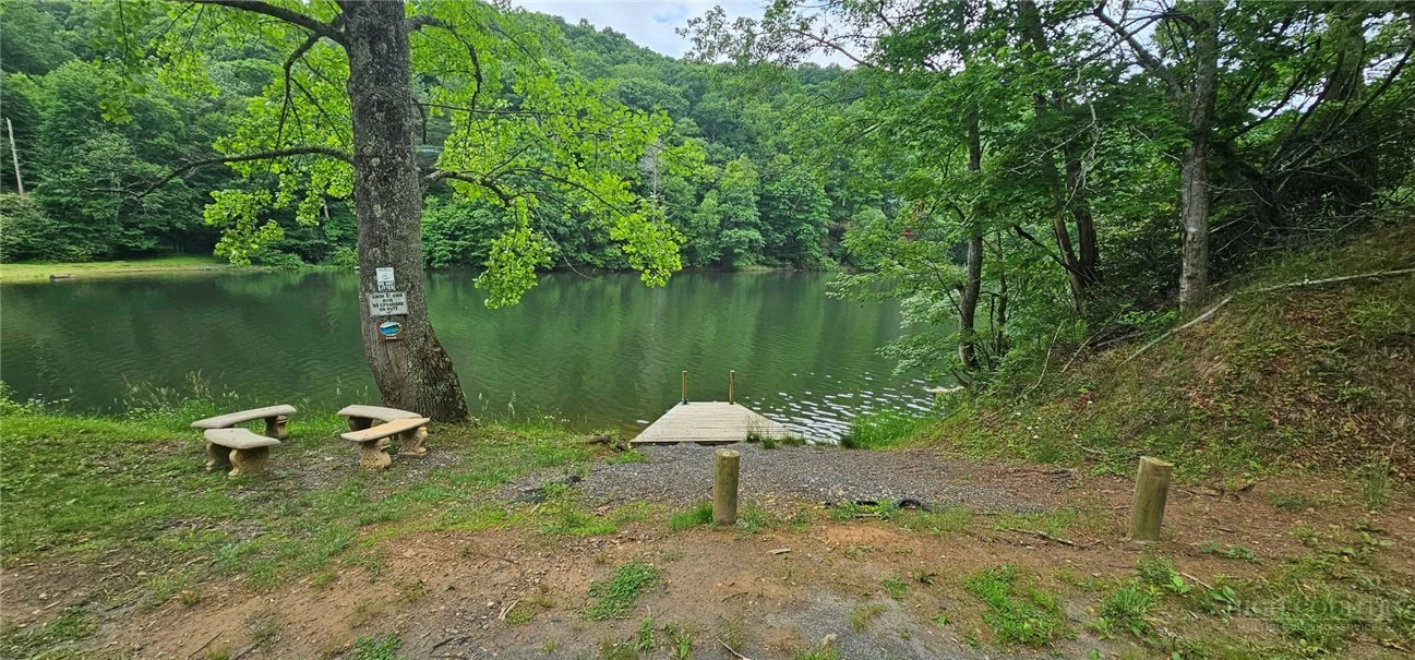 Image number 8 for the current listing