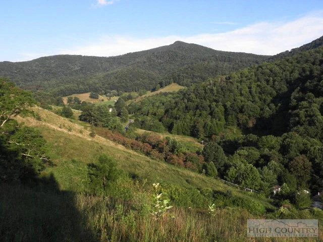 Image number 1 for the current listing