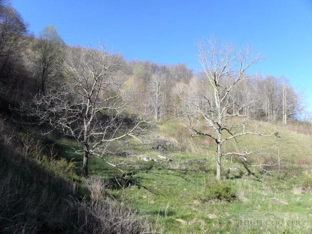 Image number 11 for the current listing
