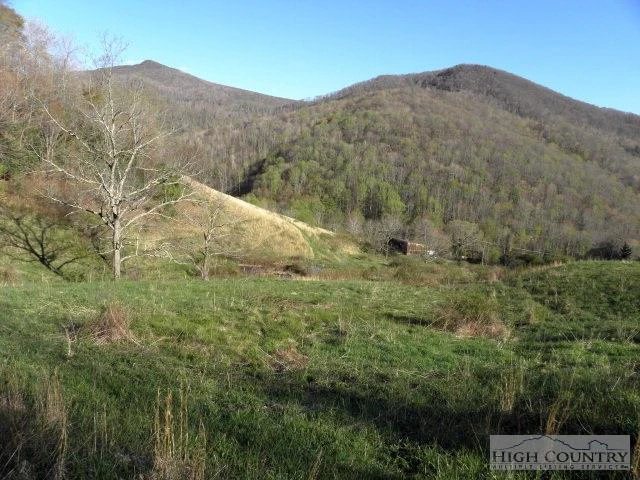 Image number 12 for the current listing