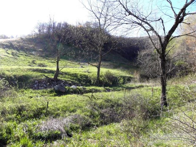 Image number 13 for the current listing