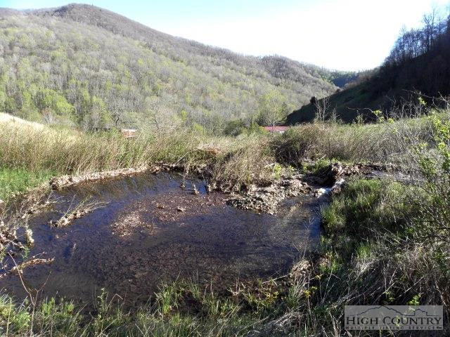 Image number 4 for the current listing